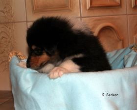 20130505_37.JPG