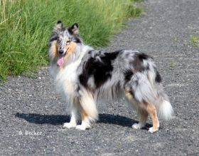 20130707_46.JPG